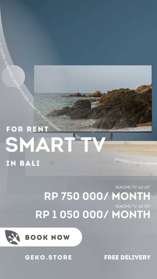 TV Rentals in Bali